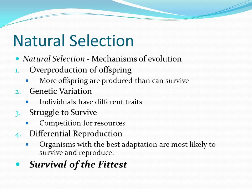 Natural selection and survival of the fittest